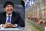Đàn heo của tỷ phú Trần Đình Long xuất chuồng hơn 660.000 con năm 2025