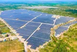 Hòa Phát đề xuất 4 dự án điện mặt trời, tổng công suất gần 500MW tại Dung Quất