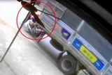 Người phụ nữ bị xe tải cuốn vào gầm, cận cảnh màn giải cứu "nghẹt thở"