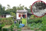 Vụ 4 người cùng gia đình chết bất thường trong căn nhà ở Gia Lai: Hiện trường có gì bất thường?