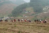 VIDEO: Độc đáo hình ảnh 300 vận động viên tham gia giải leo ruộng bậc thang