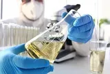 Sau nhiều năm, Nga tìm ra công thức để đuổi kịp châu Âu, biến thứ bỏ đi thành món hàng "đắt như tôm tươi"