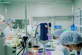 Mỹ phẩm Việt Hương vừa bị thu hồi 511 sản phẩm là công ty nào?