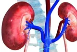 Bác sĩ tiết niệu cảnh báo: Nhiều quả thận bị hỏng “oan uổng” chỉ vì những sai lầm rất phổ biến