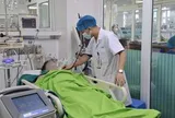 Gặt lúa giữa nắng nóng, 2 người đàn ông bị sốc nhiệt, suy đa tạng phải cấp cứu