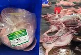 Vụ 300 tấn thịt lợn bệnh: Gói thầu hơn 10 tỷ đồng đưa thực phẩm bẩn vào trường tiểu học ở Hà Nội
