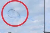 Đang đi ngoài đường, người dân bỗng thấy cảnh tượng “nổi da gà”