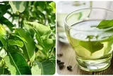 Uống nước vối có tác dụng gì?