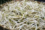 'Nước kẹo' dùng để ủ giá đỗ nguy hiểm thế nào?