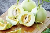 Dưa lê đang vào mùa ngon nhất năm: Ăn mát, ngọt thơm nhưng có những "đại kỵ" không nên xem thường