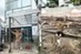 "Ông hoàng nhạc Việt" một thời cùng lúc khoe 2 cơ ngơi bề thế ở TP.HCM