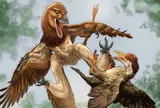 Phát hiện "quái vật 4 cánh" cực nguy hiểm ở Trung Quốc