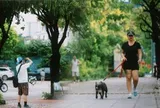 Hà Nội sáng nay thật lạ: Giữa tháng 6 mà se lạnh như mùa thu, người dân tận hưởng cảm giác 12 năm mới xuất hiện