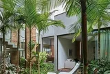 Vì sao người xưa dạy trồng "cau trước, chuối sau"?