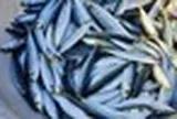 Bác sĩ tiết lộ 5 loại cá bình dân giàu omega-3 không thua cá hồi: Chợ Việt có tất cả