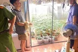 Ra lệnh khám xét khẩn cấp chỗ ở, bắt giữ Hoàng Quý Nhân SN 1995