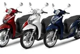 Cập nhật bảng giá xe Honda SH tháng 6/2026 mới nhất