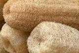 Bác sĩ Mỹ cảnh báo khẩn những người đang dùng bông tắm xơ mướp
