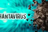 Bộ Y tế thông tin mới nhất về bệnh do virus Hanta