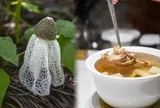 Thực phẩm chứa kali gấp 42 lần chuối, hấp hay luộc đều ngon: Nên ăn nhiều vào tháng 7 để hỗ trợ tiêu hóa, bảo vệ gan, giảm mệt mỏi, tăng miễn dịch