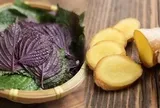 Lá tía tô nấu với gừng có tác dụng gì và những lưu ý quan trọng khi dùng