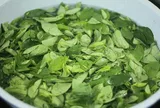 Loại rau quen thuộc từng làm hàng rào, nay được săn tìm vì được ví như “cây thuốc”