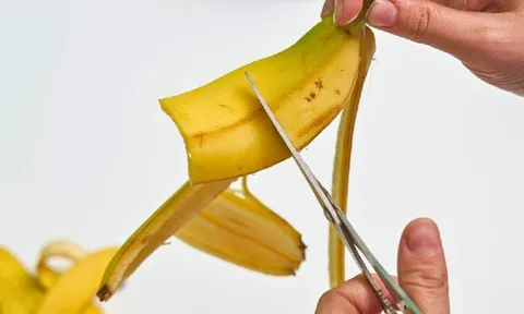 Đừng chỉ ăn ruột, vỏ loại quả này rất tốt cho sức khỏe, nhiều người tiếc hùi hụi vì chưa biết