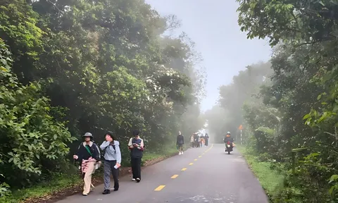 Du khách tham quan bán đảo Sơn Trà cần biết điều này