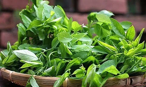 Loại rau có lượng sắt gấp 7 lần thịt bò nhưng giá lại "siêu rẻ"