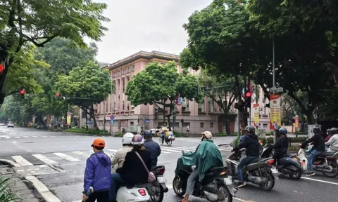 Tài xế dừng đèn đỏ, tay sử dụng điện thoại di động có bị xử phạt?