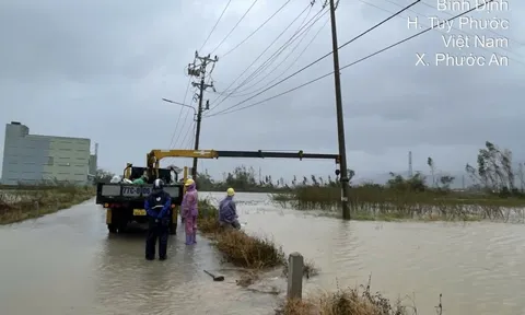 Tổng công ty Điện lực miền Trung thông báo: Hơn 553.000 khách hàng mất điện, Đắk Lắk thiệt hại nặng nhất