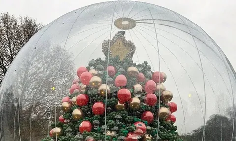 Cây thông kỳ lạ bậc nhất mùa Giáng sinh năm nay ở Anh