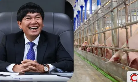 Đàn heo của tỷ phú Trần Đình Long xuất chuồng hơn 660.000 con năm 2025