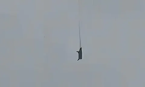 Con lợn bị treo lơ lửng trên đường dây điện khiến cả làng xôn xao