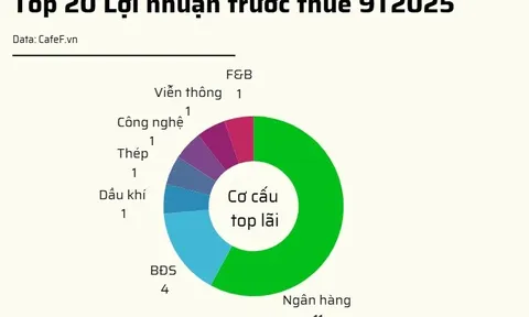 20 DN niêm yết có lợi nhuận trước thuế lớn nhất năm 2025: VinHomes vượt qua loạt ngân hàng giữ vị trí đầu bảng, 2 doanh nghiệp BĐS tăng trên 1.000%