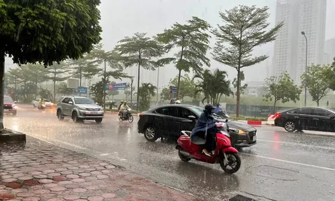 Tin gió mùa Đông Bắc mới nhất: Miền Bắc sắp có mưa rào trong nhiều ngày liên tiếp