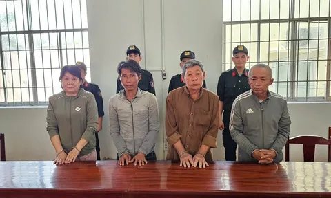 Thi hành lệnh bắt tạm giam, khám xét nơi ở của Lâm Thị Hồng Hạnh