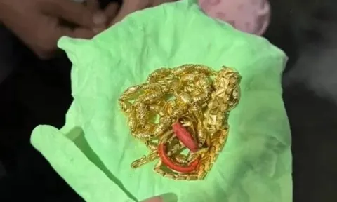 Dọn nhà đón Tết, cô gái vứt số vàng trị giá 373 triệu đồng vào thùng rác