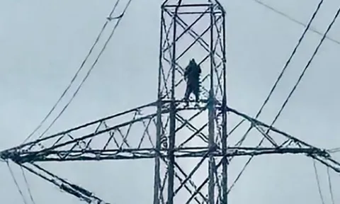 Người đàn ông thất tình trèo lên cột điện khiến 20.000 hộ dân gánh hậu quả