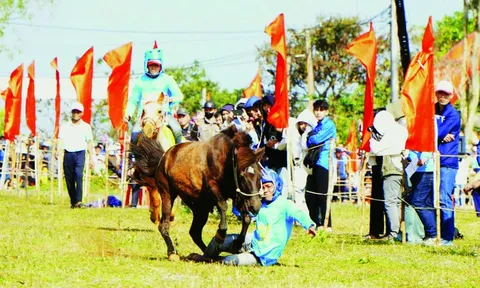 Cười ngất Với hội đua ngựa thồ