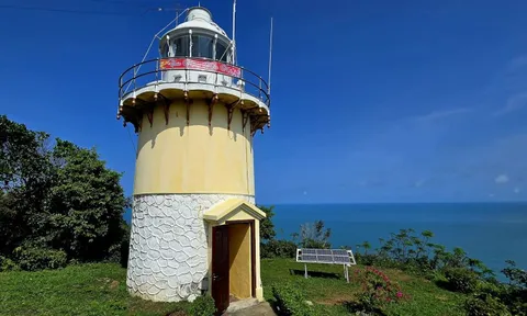 Canh “mắt biển” trăm tuổi trên đỉnh Sơn Trà