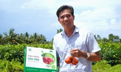 Đắt hơn sầu riêng, loại quả 230.000đ/kg giúp anh nông dân miền Tây lãi 2 tỷ/ha bất chấp nước mặn