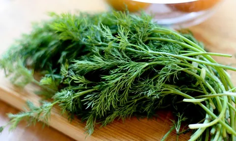 Ăn rau thì là đúng cách có thể mang lại nhiều lợi ích cho cơ thể