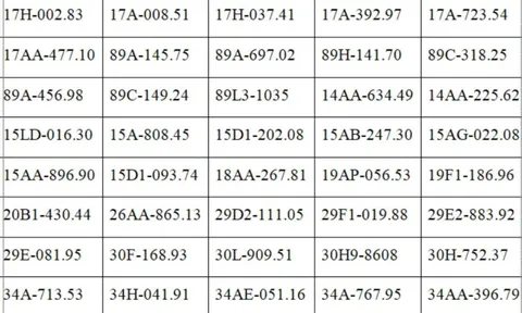 Tất cả chủ xe máy, ô tô trong danh sách sau đây phải nộp  phạt nguội theo Nghị định 168