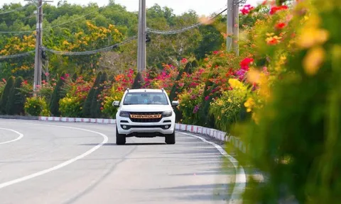 Ngắm cung đường tuyệt đẹp xuyên rừng ngập mặn ở TP.HCM