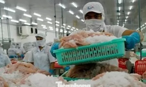 Một số doanh nghiệp thủy sản tạm dừng xuất khẩu Trung Đông