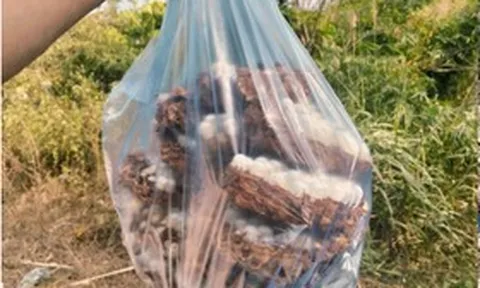 Con đặc sản “nhìn đã thấy sợ” ở Tây Bắc xưa không ai ngó, nay thành món ăn được dân nhậu mê tít săn lùng