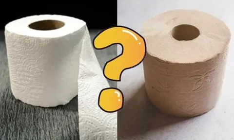 90% người mua không hay biết: Giấy vệ sinh màu trắng và màu vàng loại nào tốt hơn?