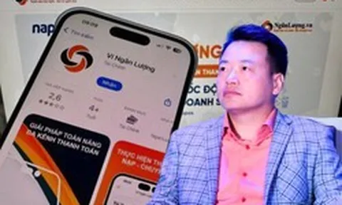 Ngân lượng và loạt sản phẩm thuộc hệ sinh thái công ty Shark Bình mà ít người biết đến