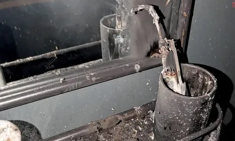 Đang ngủ say, cô gái choàng tỉnh thấy cảnh tượng "đáng sợ" ngay trong nhà